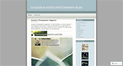 Desktop Screenshot of colleenslater.wordpress.com