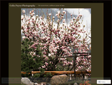 Tablet Screenshot of paynephoto.wordpress.com