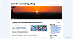 Desktop Screenshot of cosmeticsurgeryprague.wordpress.com