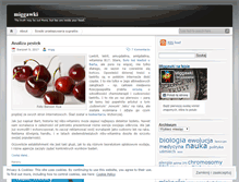 Tablet Screenshot of migg.wordpress.com