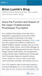 Mobile Screenshot of brianmarklusink.wordpress.com