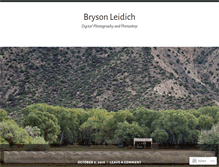 Tablet Screenshot of brysonleidich.wordpress.com