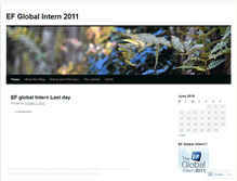 Tablet Screenshot of efglobalintern2011.wordpress.com