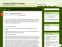 Tablet Screenshot of countryflowerfarms.wordpress.com