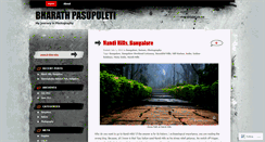 Desktop Screenshot of bugsandclicks.wordpress.com
