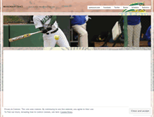 Tablet Screenshot of masonsoftball.wordpress.com