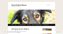 Desktop Screenshot of homefureverrescue.wordpress.com