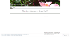 Desktop Screenshot of mytakeofmusic.wordpress.com