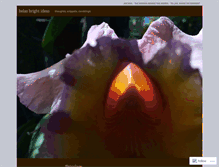 Tablet Screenshot of belasbrightideas.wordpress.com