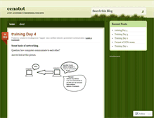 Tablet Screenshot of ccnatut.wordpress.com