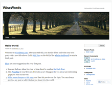 Tablet Screenshot of bmwiseman.wordpress.com