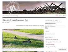 Tablet Screenshot of eddieleephotography.wordpress.com