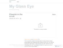 Tablet Screenshot of myglassi.wordpress.com