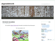 Tablet Screenshot of akgenelektronik.wordpress.com