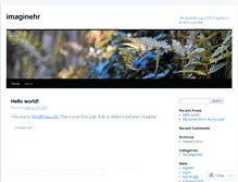 Tablet Screenshot of imaginehr.wordpress.com