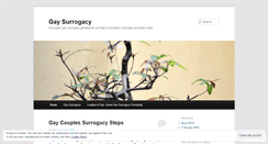Desktop Screenshot of gaysurrogacy.wordpress.com