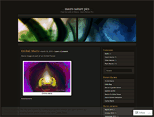 Tablet Screenshot of macro54.wordpress.com