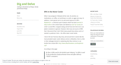 Desktop Screenshot of diganddelve.wordpress.com