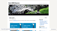 Desktop Screenshot of hackmsnspaces.wordpress.com