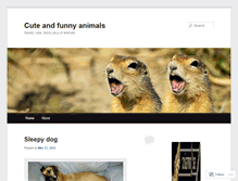 Tablet Screenshot of cutefunnyanimals.wordpress.com