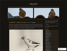 Tablet Screenshot of deepinbirds.wordpress.com