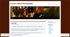 Desktop Screenshot of lynneanelson.wordpress.com