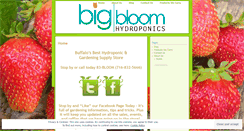 Desktop Screenshot of bigbloomhydro.wordpress.com