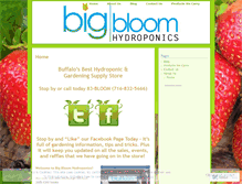 Tablet Screenshot of bigbloomhydro.wordpress.com