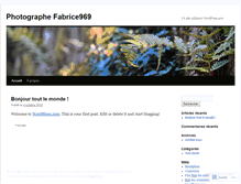 Tablet Screenshot of fabricefrechou.wordpress.com