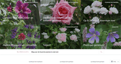 Desktop Screenshot of bloemlezen.wordpress.com