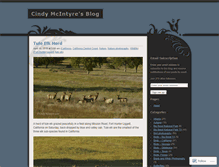 Tablet Screenshot of cindymcintyre.wordpress.com