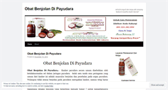 Desktop Screenshot of obatbenjolandipayudaranew.wordpress.com
