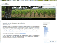 Tablet Screenshot of caudalina.wordpress.com