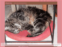 Tablet Screenshot of oldcatseye.wordpress.com