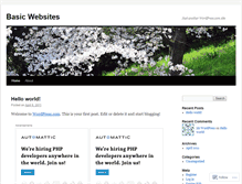 Tablet Screenshot of basicwebsites.wordpress.com