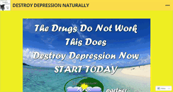 Desktop Screenshot of destroydepressionreview.wordpress.com