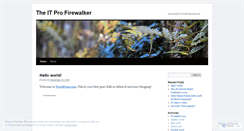 Desktop Screenshot of itprofirewalker.wordpress.com