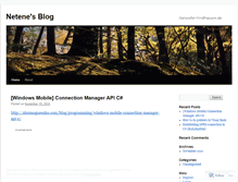 Tablet Screenshot of netene.wordpress.com