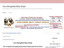 Tablet Screenshot of caramengobatibatuginjal22.wordpress.com