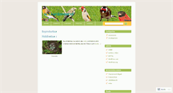 Desktop Screenshot of algerianboy.wordpress.com