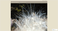 Desktop Screenshot of capturedelements.wordpress.com