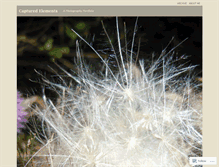 Tablet Screenshot of capturedelements.wordpress.com