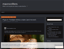 Tablet Screenshot of macrocritters.wordpress.com