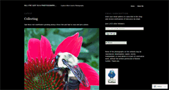 Desktop Screenshot of bonniegunkel.wordpress.com