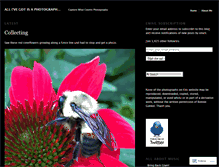 Tablet Screenshot of bonniegunkel.wordpress.com