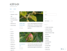 Tablet Screenshot of alderandash.wordpress.com