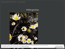 Tablet Screenshot of jovenlobo.wordpress.com