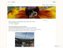 Tablet Screenshot of bomar.wordpress.com