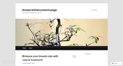Desktop Screenshot of breastenhancementpage.wordpress.com