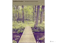Tablet Screenshot of ambitiouspromises.wordpress.com